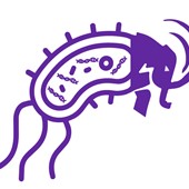 Amherst College Biochemistry and Molecular Biology Club Hub profile image